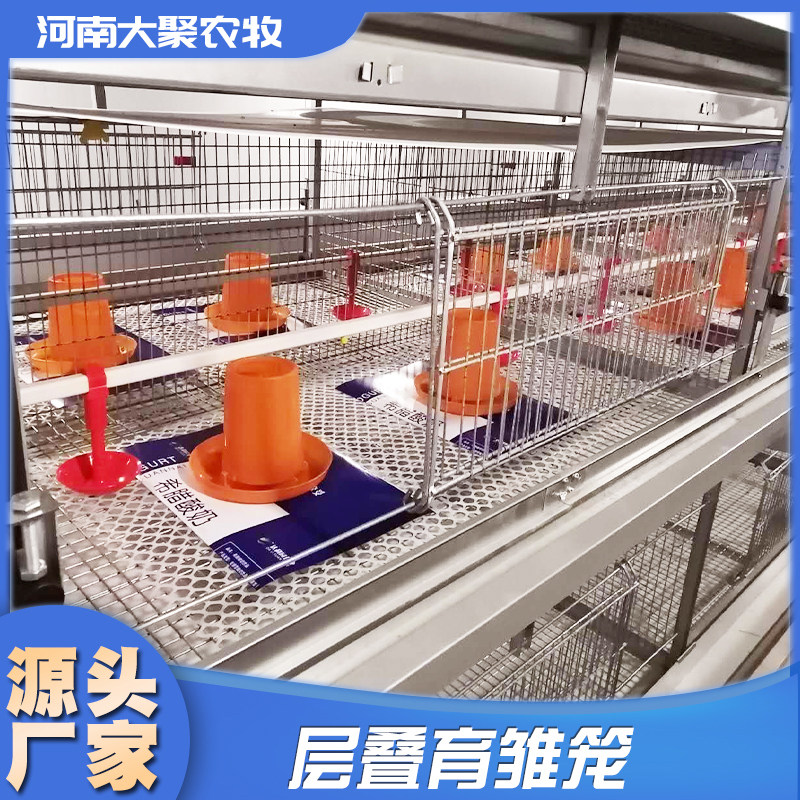 育雏鸡笼养小鸡鸡笼子养鸡笼层叠育雏笼自动化鸡笼设备养殖场专_虎窝淘