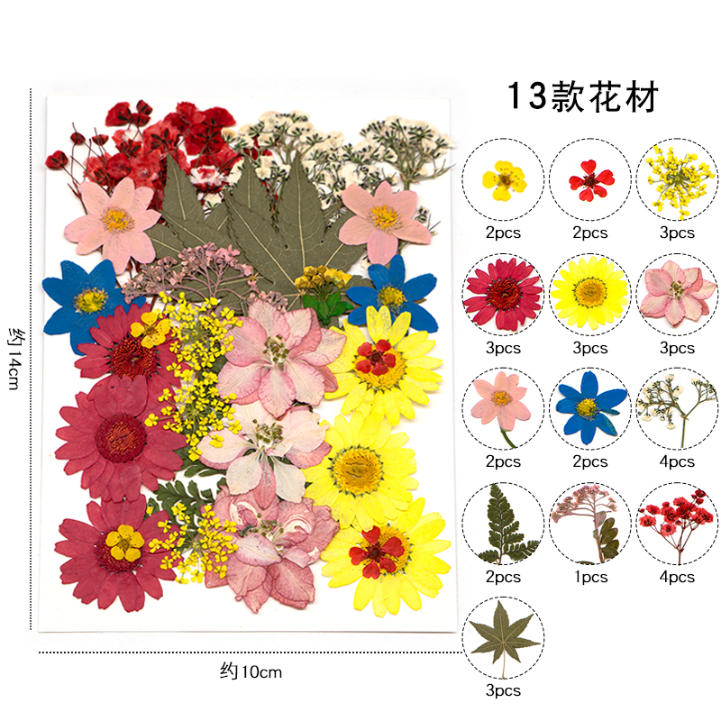 干花真花压花diy水晶滴胶干花手机壳摆台杯垫挂牌装饰花艺材料包 - 图3