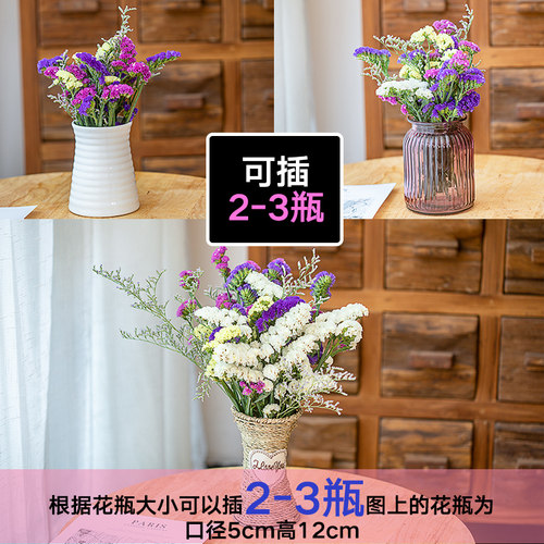 云南天然勿忘我干花花束客厅摆设满天星真花装饰摆件小大束论斤卖 - 图2