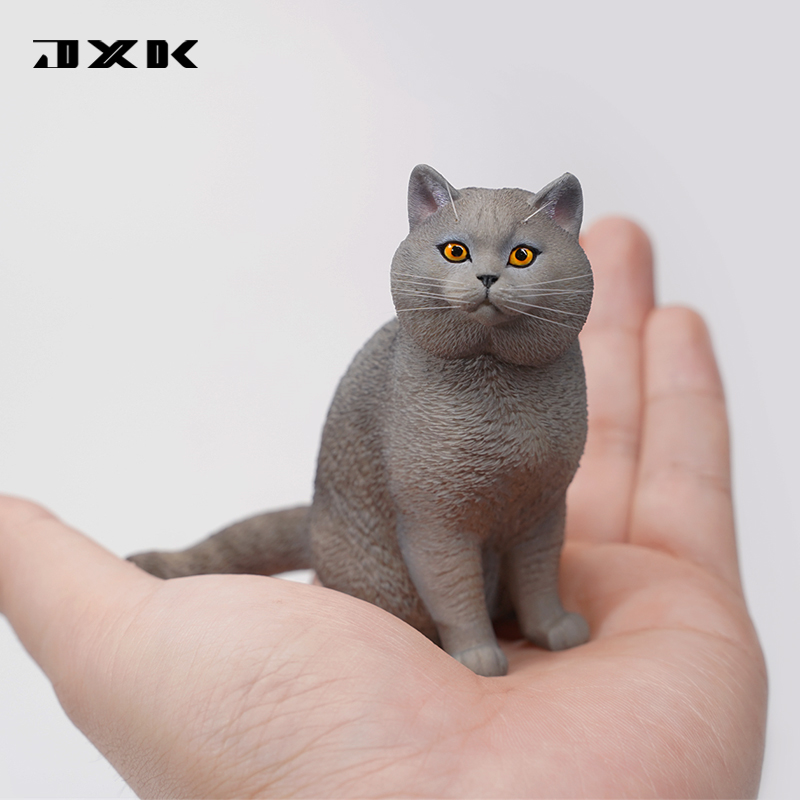 JXK 英国短毛猫/蓝猫/黑猫模型 仿真小猫咪英短周边玩偶手办摆件