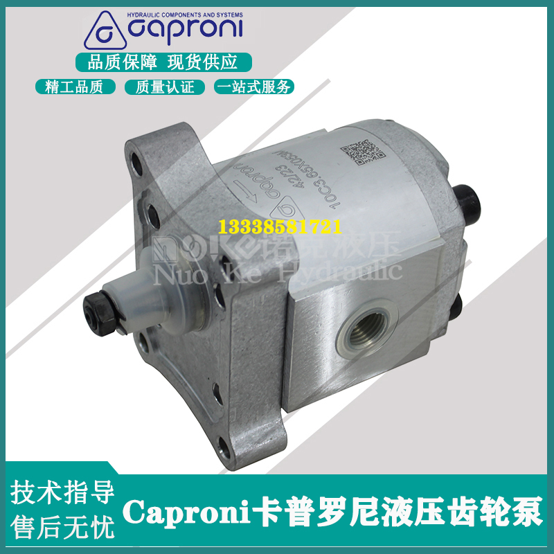 caproni卡普罗尼液压齿轮泵10C1.25/2/2.5/X053M/10A/00A/00C系列 - 图2