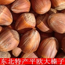 Northeast Terrific quality flat European large hazelnut thin leather New cargo iron pan fried cooked original flavor No Add to