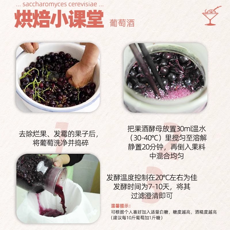 3袋安琪果酒酵母家用做红葡萄酒发酵粉草莓荔枝水果酒曲酿酒酵母