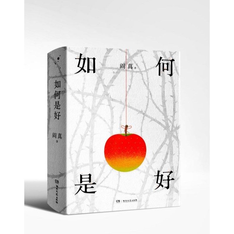 如何是好(精装版)-阎真-湖南文艺出版社正版图书_虎窝淘