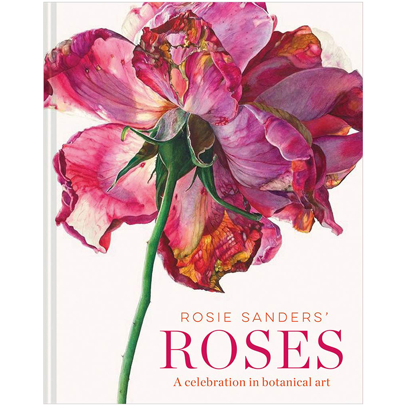 罗西·桑德斯的玫瑰 Rosie Sanders'Roses植物学艺术插画画册画集水彩花卉图案集英文原装进口艺术美术生临摹可单拍善本图书-图0