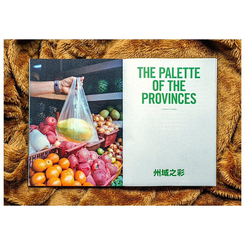 【预售】E514Lost(SGP)2025年01期 NO.11生活综合杂志杂志+VOLUME PRESS进口原版书 - 图0