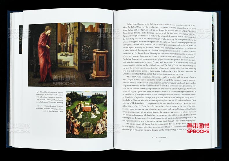 【现货】爱德华伯恩-琼斯的激进愿景 The Radical Vision of Edward Burne–Jones 英文原版进口艺术作品集画册画集 善本图书 - 图2