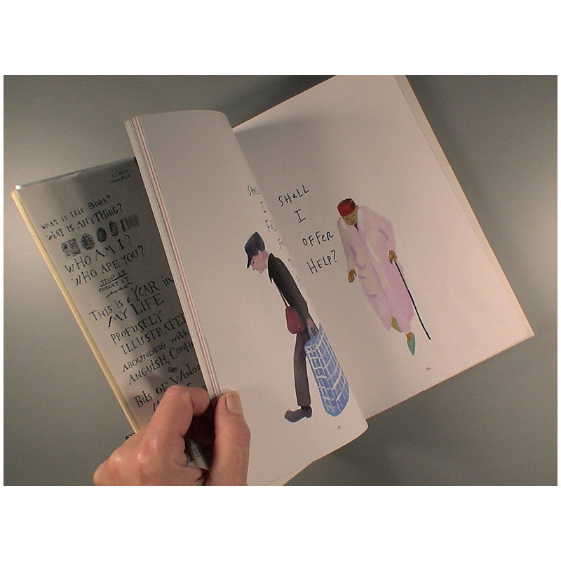 【预售】插画家Maira Kalman作品集 不确定性原理The Principles of Uncertainty  迈拉·卡尔曼 英文原版进口图书绘画画册善本