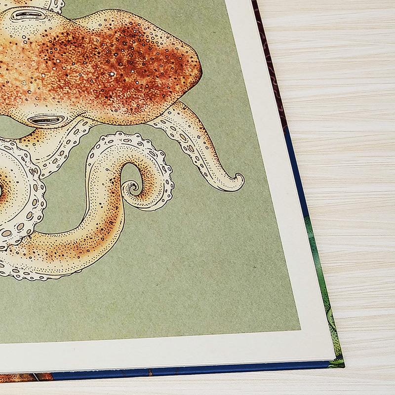 【欢迎来到博物馆系列】动物馆Animalium 真菌/植物/天文/恐龙/海洋/蘑菇(可单拍) 精装大开本插图精美科普读物 英文原版进口图册 - 图2