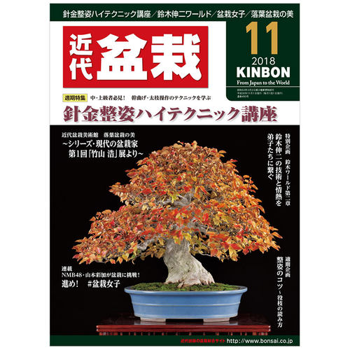 【订阅】 月刊近代盆栽 盆栽景观杂志 日本日文原版 年订12期 E372 善本图书 - 图0