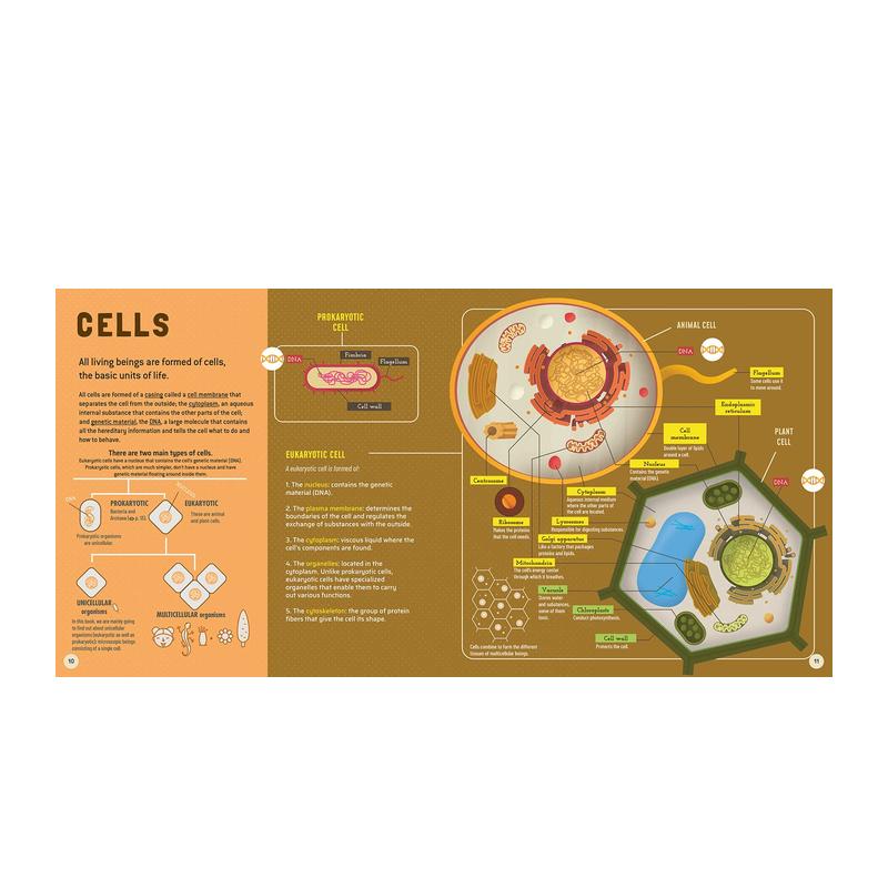 【预售】【我的d一本】微生物书 【My First Book of】 Microbes 原版英文儿童绘本 - 图1