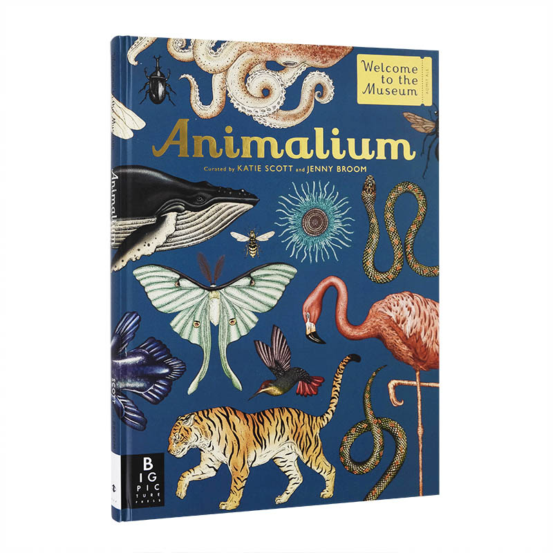 【欢迎来到博物馆系列】动物馆Animalium 真菌/植物/天文/恐龙/海洋/蘑菇(可单拍) 精装大开本插图精美科普读物 英文原版进口图册 - 图0