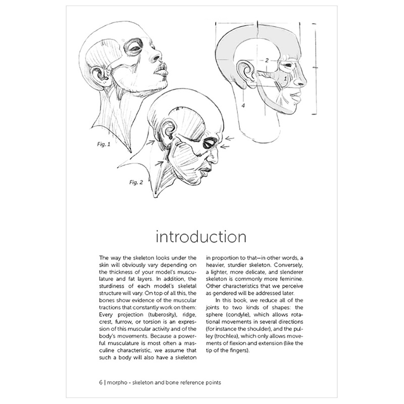 【预售】【Morpho人体结构绘画】底层骨骼和骨骼结构参照点Skeleton and Bone Reference Points 英文原版素描美术技法画册指南 - 图3