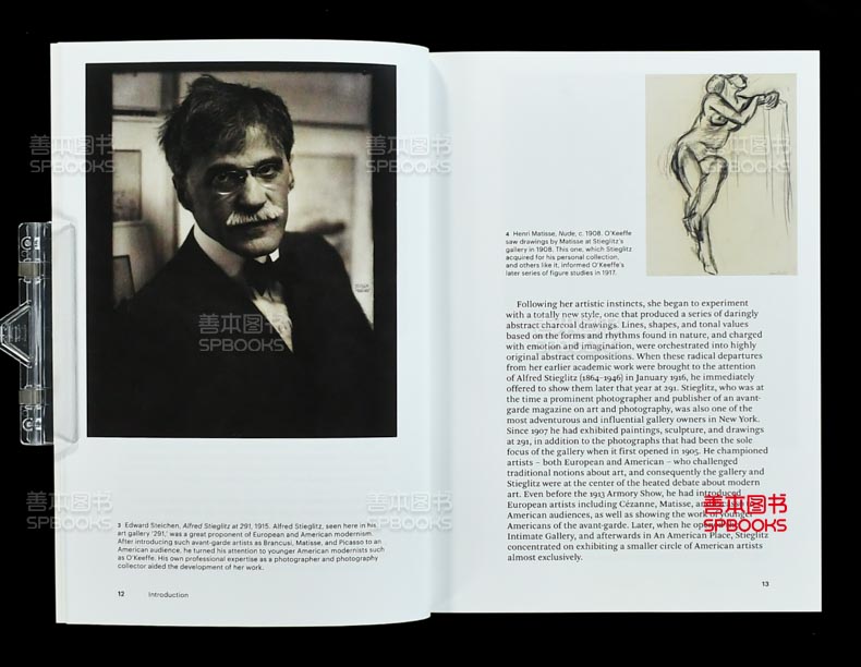 【现货】【World of Art】乔治亚·欧姬芙 Georgia O’keeffe T&H 英文艺术绘画素描水彩画作品集油画画册画集 花卉动物风景建筑 - 图1