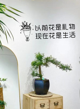 礼物文字橱窗玻璃门ins墙贴