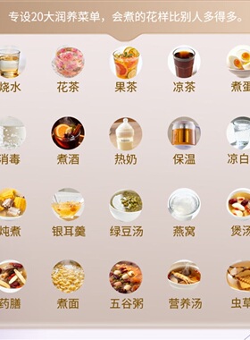 荣事达2L大容量炖煮一体养生壶