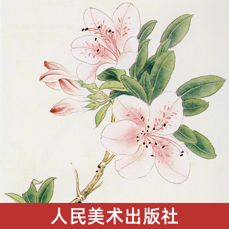 【正版包邮】花卉画法 三易绘画技法丛书 孙其峰画集人民美术国画技法中国花鸟画技法教程构图初学者绘画入门基础范本临摹练习 - 图3