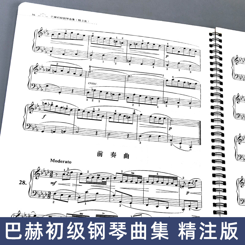 【活页环扣】 巴赫初级钢琴曲集 精注版 大开本大音符初学入门教程儿童成人练习钢琴初级阶段练习曲集曲谱 音乐书籍教程书钢琴教材 - 图1