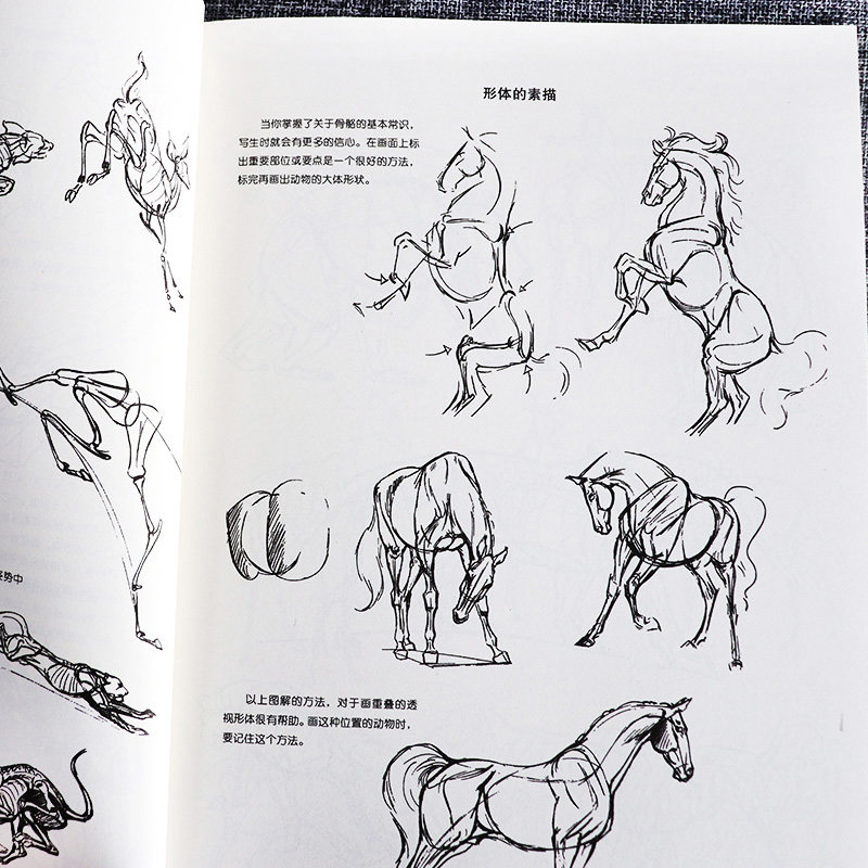 正版包邮动物画技法结构动态分析漫画庚赫尔脱格伦成人学生绘画临摹技法要诀教程动漫素描图例大全兽类野生动物形体山东美术_虎窝淘