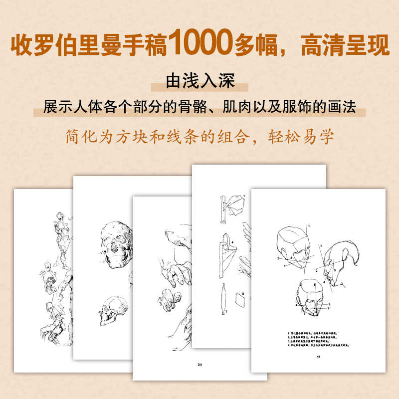【超大本加厚】伯里曼人体结构绘画教学白金版素描基础教程理解人体形态结构零基础入门书籍画手人体结构造型手绘解剖技法全书实战