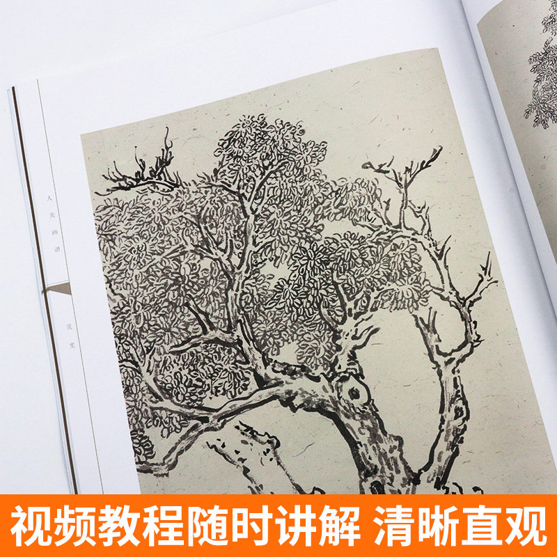 【赠教学视频】人美画谱 范宽 溪山行旅图 范宽原大 国画山水花鸟画入门临摹底稿范本中国画技法范宽全集范宽山水画集画册门教程书,淘宝优惠券,粉丝福利购,淘宝优惠卷