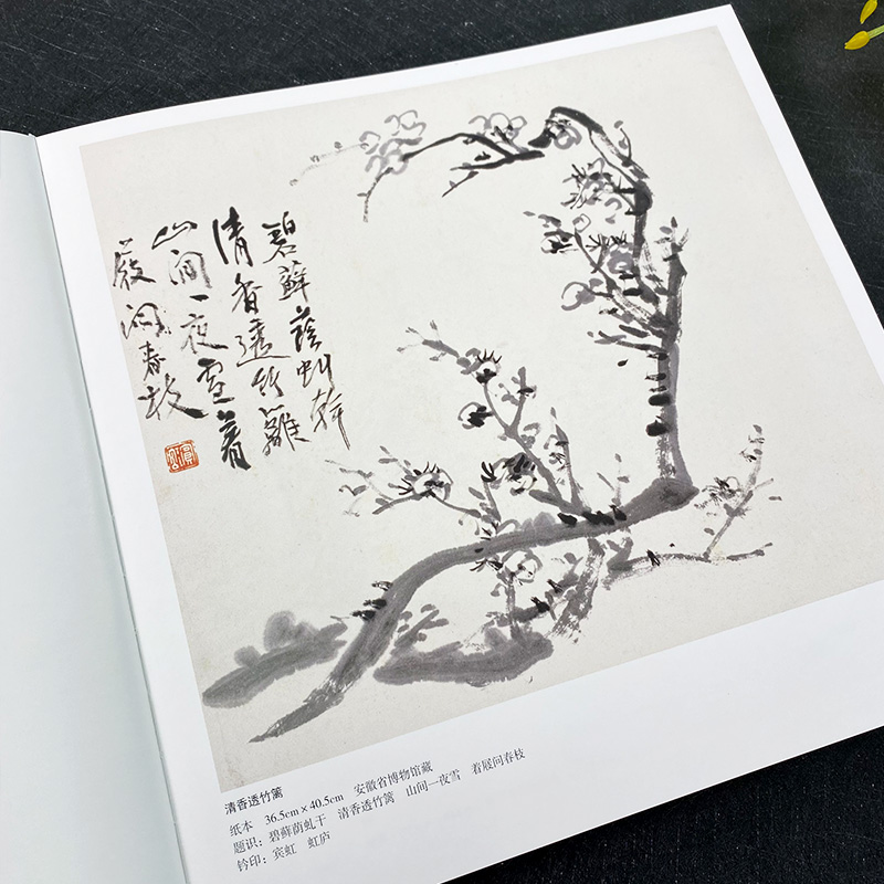 【12开彩印】黄宾虹册页全集5 水墨花鸟画卷黄宾虹山水画集临古写生画稿山水花鸟国画中国现代名家画集绘画赏析画法入门到精通教程 - 图1