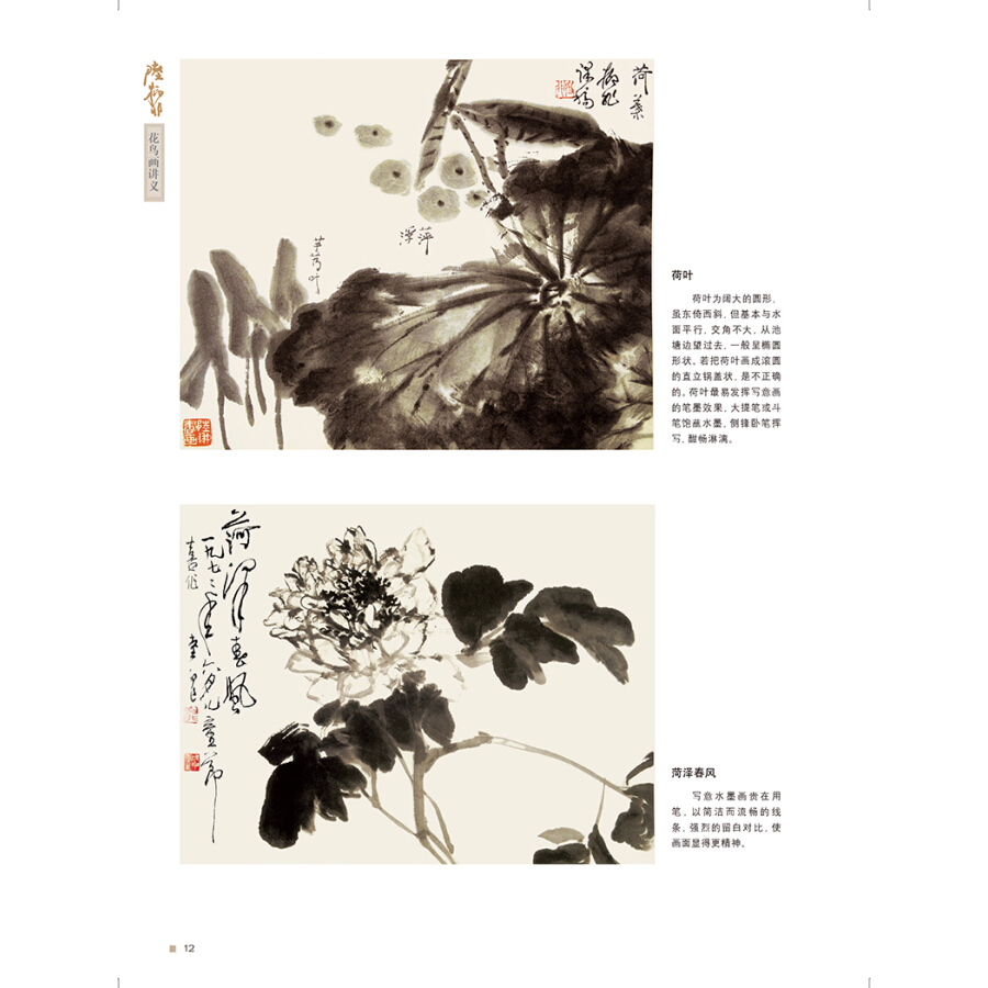 新版 陆抑非花鸟画讲义 国画名家讲稿花鸟虫草技法理论解析写生花卉画集鉴赏精选名家经典国画作品集赏析书画绘画临摹入门教程书籍