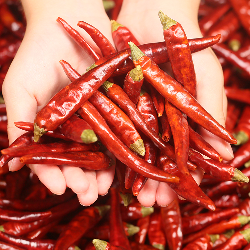 特辣特香 小米辣 七星椒遵义满天星辣椒贵州干辣椒二荆条海椒500g,淘宝优惠券,粉丝福利购,淘宝优惠卷