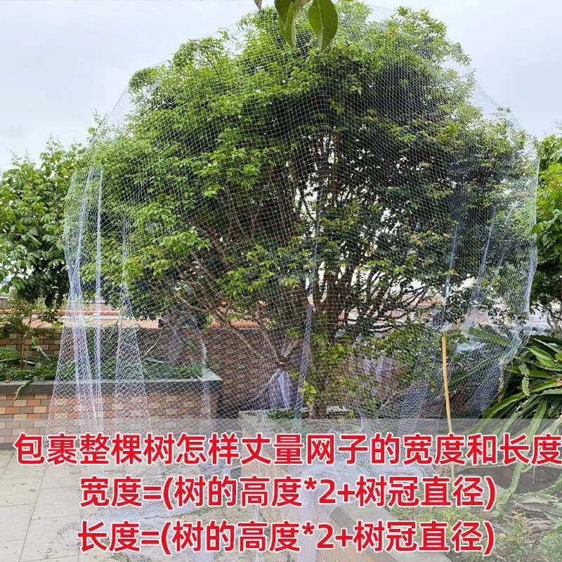 果树果园尼龙防鸟网樱桃蓝莓葡萄稻谷防鸟用网罩阳台鱼塘养殖天网 - 图3