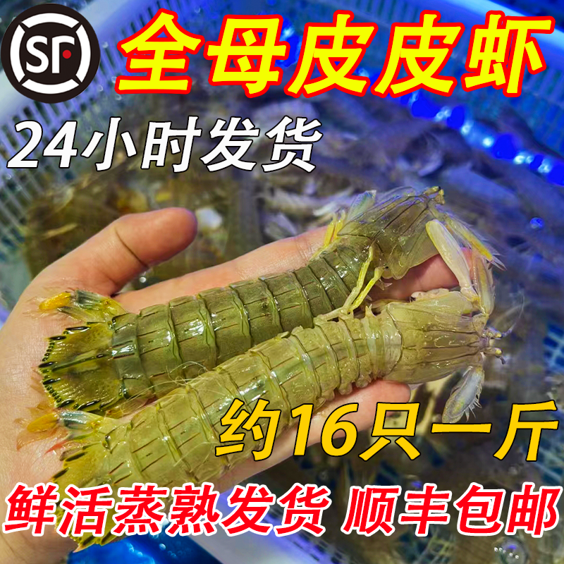 皮皮虾鲜活特大全母带膏琵琶虾熟冻椒盐即食皮皮虾肉-图2