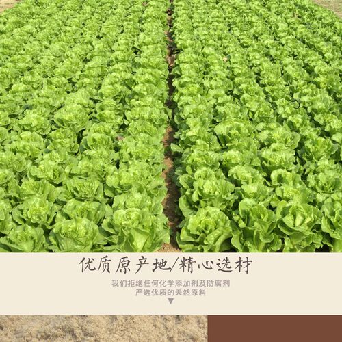 现磨东北熟生菜籽粉黑白生菜子原粉可搭配黄瓜籽粉500克生菜籽 - 图1
