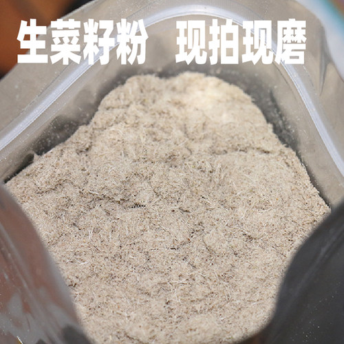 现磨东北熟生菜籽粉黑白生菜子原粉可搭配黄瓜籽粉500克生菜籽 - 图0