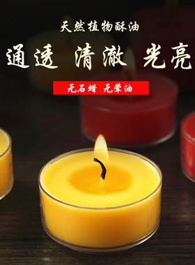 圆点无烟植物酥油灯家用供佛灯长