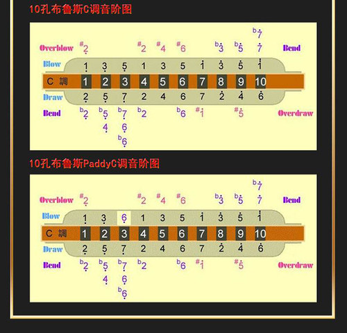 宋伯包为你修改paddy/Newbie等各种音阶口琴品牌不限隔天顺丰发货 - 图0