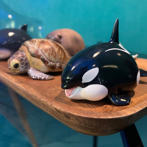 正版动物星球心宽体胖系列第四弹海洋篇盲盒乌龟鱼手办摆件周边 - 图1