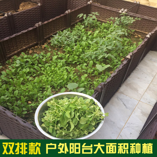 户外大面积种植箱 长方形阳台种菜盆 家庭大型花盆特大蔬菜种植箱 - 图0