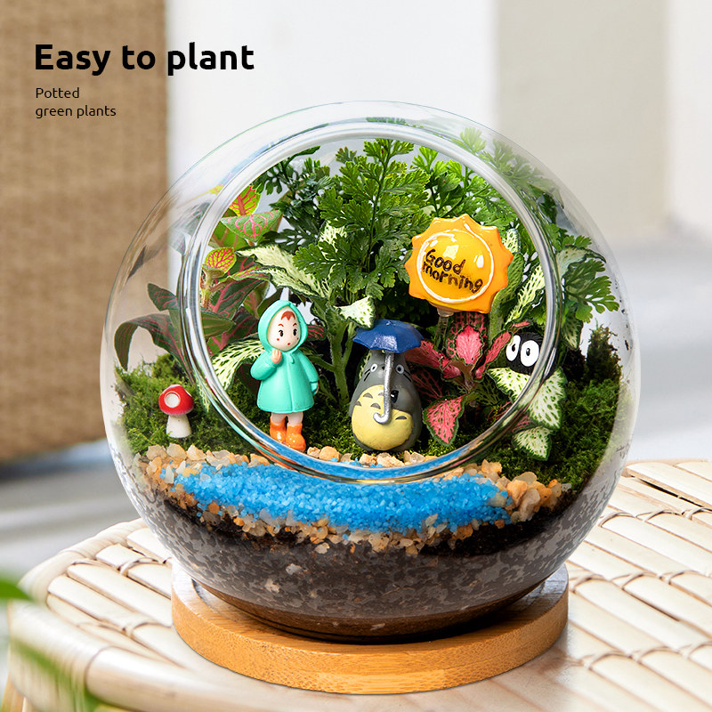 苔藓微景观盆景办公室工位客厅桌面植物创意生态瓶小盆栽新年礼物,淘宝优惠券,粉丝福利购,淘宝优惠卷