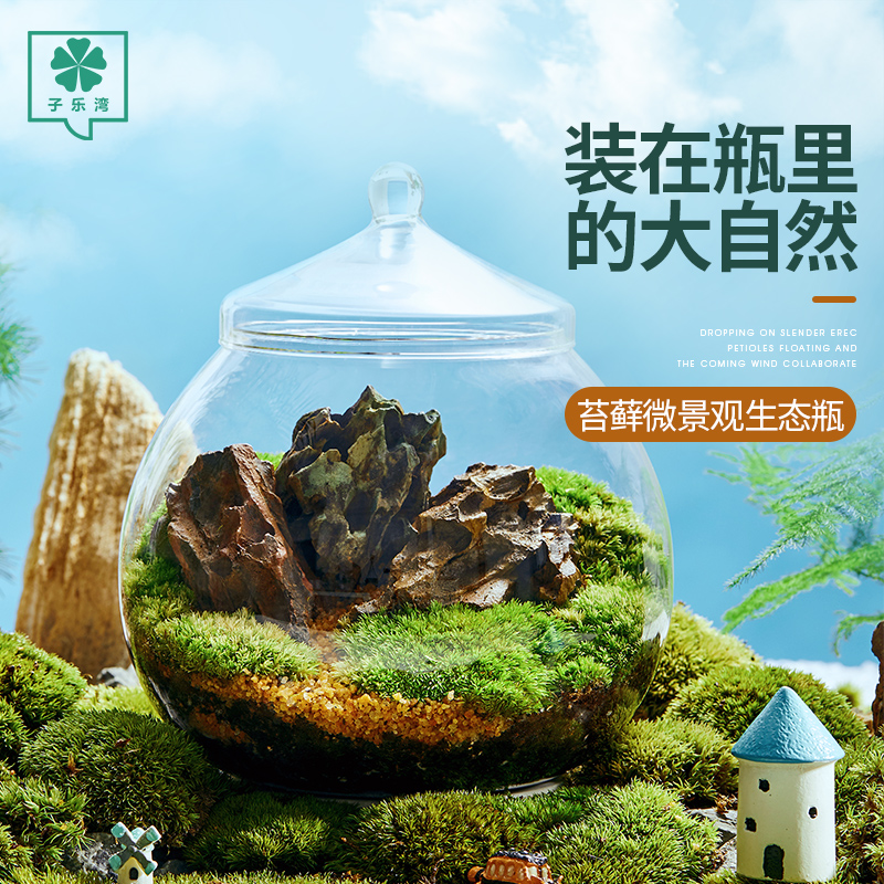 苔藓植物微景观生态瓶盆景室内桌面趣味微型景观创意DIY绿植摆件-图2