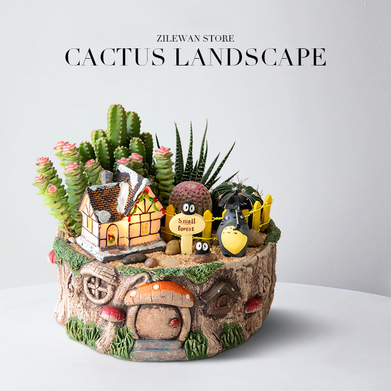 多肉植物室内盆栽办公室桌面小仙人掌仙人球花卉钱串绿植摆件礼物,淘宝优惠券,粉丝福利购,淘宝优惠卷