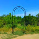 New wedding props wrought iron curved double pole arch