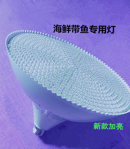 25款LED生鲜海鲜灯白光150瓦全白偏蓝带鱼黄鱼全暖市场加亮款E27 - 图2