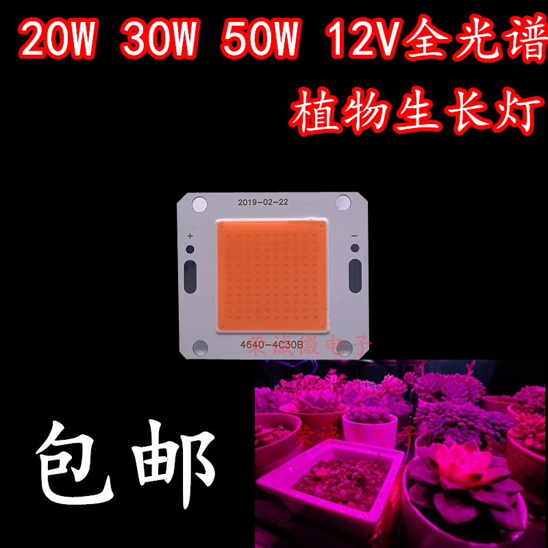 全光谱粉植物生长灯多肉补光室内led防徒 20W30W50W大功率12V灯珠