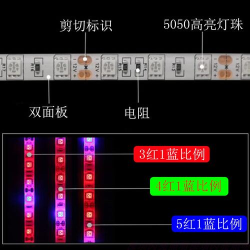 12V防水 软灯条植物补光灯红蓝混色多肉上色防徒花卉蔬菜补光育苗 - 图2