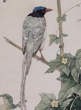 名画复制品刘奎龄花禽十二条屏小写意花鸟画国画艺术微喷装饰画