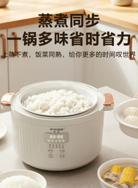 半球微压迷你电饭煲1-4人预约