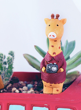 微景观创意生日礼物装饰摆件