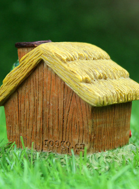 房子拍摄道具多肉生日礼物工艺品