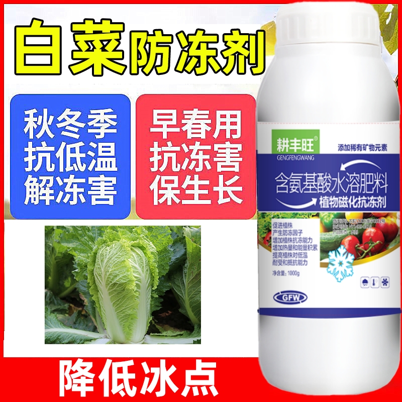 白菜防冻剂白菜防寒抗冻剂白菜专用叶面肥解冻害抗低温白菜防冻液 - 图0