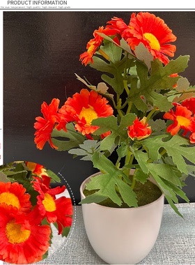 小把束装饰小花插栅栏花卉工程花