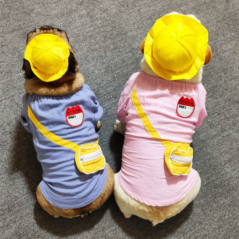 宠物幼稚园服 新人首单立减十元 21年10月 淘宝海外